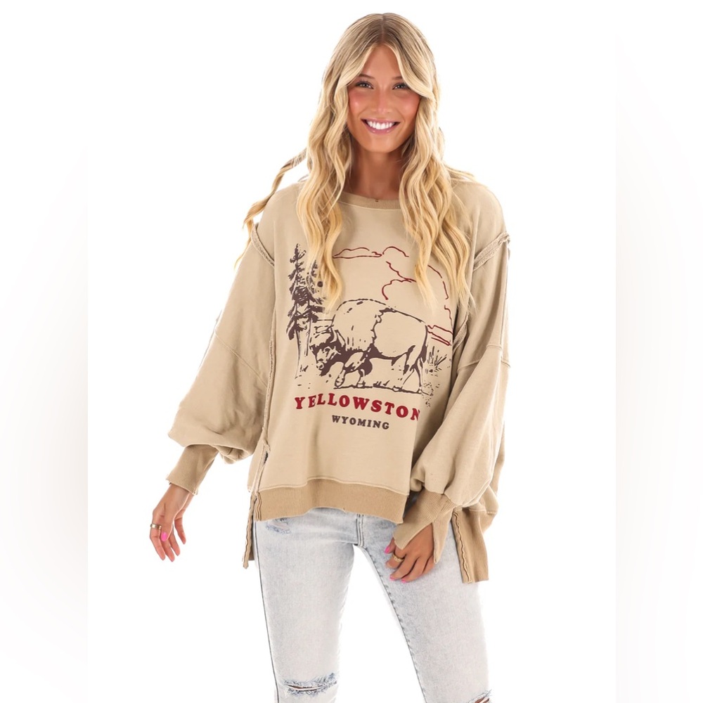 🆕FREE PEOPLE YELLOWSTONE We The Free Graphic Camden Pullover-Size Small - Picture 10 of 15